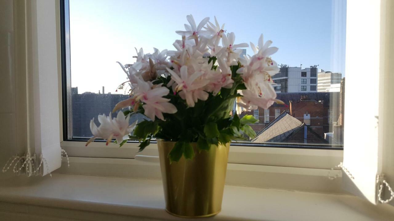 Queens Quarter Holiday Homes (Adults Only) Belfast Eksteriør bilde